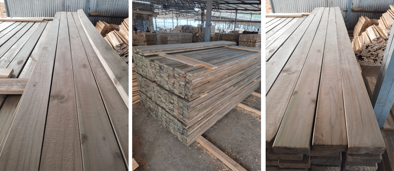 Treated Pine Timber